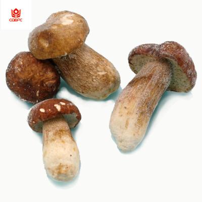 China Price frozen whole porcini msuhroom boletus frozen whole edulis for sale