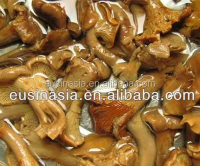 China Fresh golden chanterelle mushroom in brine for sale