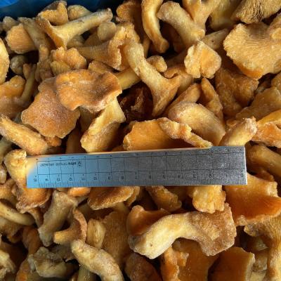 China Cantharellus Cibarius Frozen Frozen Mushroom for sale