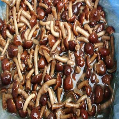 China Canned/Fresh Pickled Nameko for sale