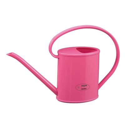 China Custom Cheap Plastic Garden Watering Cans Mini Metal Watering Can Box Drinking Water Bottles for sale