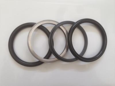 China floating ring seal, made of alloy steel, with dimension from 50mm to 1425mm for sale