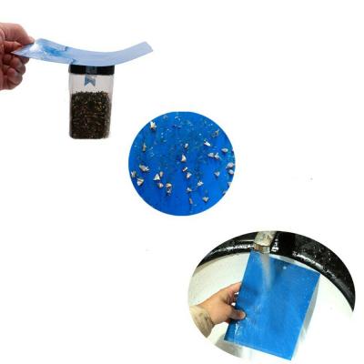 China Disposable 6x8 Inch Blue Sticky Traps Flying Traps For Fruit Fly Aphids Fungus Gnats Other Flying Insects for sale