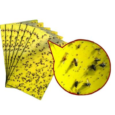 China 2020 Hot Selling Disposable Insect Control Yellow Glue Panel Pilots Type Indoor Double Side Fly Glue Trap Fruit Fly Pest Trap for sale