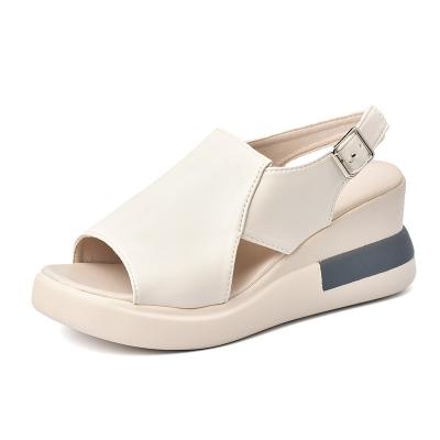 China Fashion Trend 2023 New Summer Platform Platform Wedge Sandals Women's Summer Buckle Sandals Large Size High Heel Sandals for Women for sale