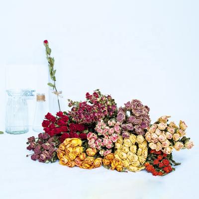 China High Quality Dried Flower Rose Dried Bulk Dried Flowers for sale