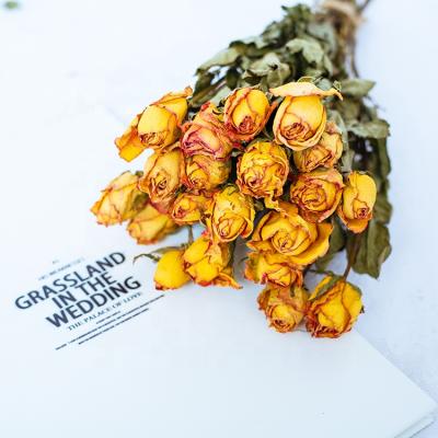 China Dried Flower Dried Hot Sale Rose Dried Flower Bouquet Dried Flowers Arrangement for sale