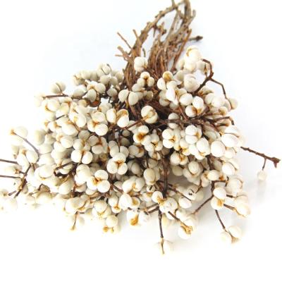 China 250g minimalist custom chinese white tallowtree flowers dry mini flowers dried floral foam wedding backdrop for sale