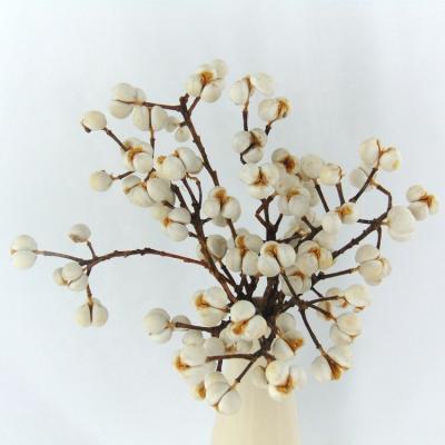 China 250g High Quality Minimalist Dried White Tallowtree Flowers Chinese Dried Flowers Mini Wedding Bouquet Dried Flowers For Resin for sale