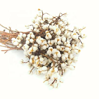 China Minimalist Tallowtree Plant Dried White Chinese Dried Flower Mini Flower Natural Dried Flower Christmas Garland for sale