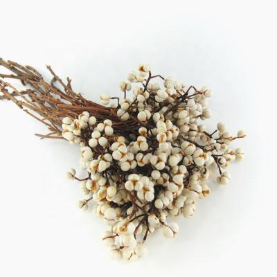 China Minimalist new product 250g dried Chinese tallowtree white flowers dry mini flowers foam flower bouquet box for sale