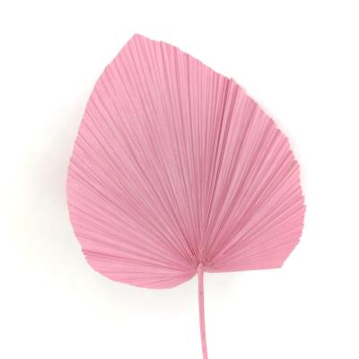 China Minimalist custom dry palm leaves dry flowers for cakes real dry flower modern new design rose flower dry pouffes for sale