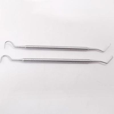 China Custom Dental Endo Needle - Precision and Quality for Endodontic Procedures for sale