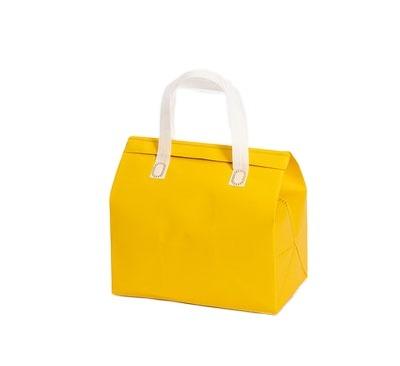 China Wholesale Custom Printing Insulated Lunch Bag XYX STRIP Waterproof Cooler Bag Waterproof and Eco-friendly for sale