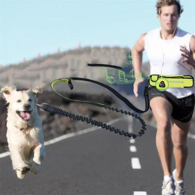 China Nylon Thoughtful Retractable Hands Bag Nylon Retractable Hands Waist Bag Viable Running Pull Rope Dog Rope Dog Free Walking Leash for sale