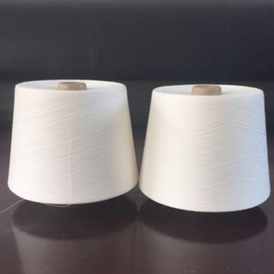 China Anti-bacteria R30S Factory Price Count 100% Viscous Yarn Ring Spun Rayon Yarn for sale