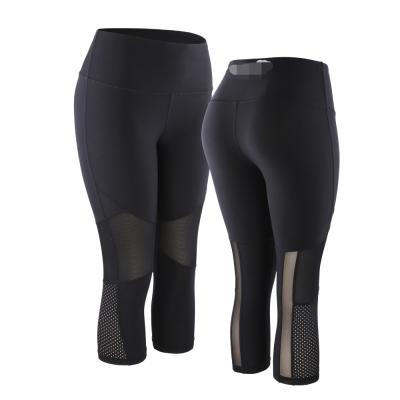 China High Quality Wholesale Breathable Plus Size Mesh Yoga Leggings For Stretching Pants Women for sale