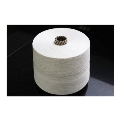 China Anti-bacteria Appropriate Price High Quality Knitting 100% Viscous Spun Yarn for sale