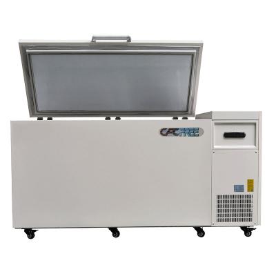 China Freeze Free Stainless Upright Ultra Low Temperature Ultra Low Temperature -80 Degree Cryogenic Freezer for sale