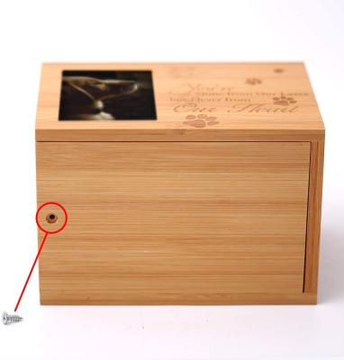 China Viable wooden pet ashes box, keepsake wooden jar, small animal wooden box for sale