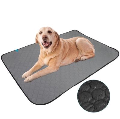 China Coral Fleece Reusable Dog Pee Pads, Super Absorbent Dog Mat Puppy Cats Housebreaking Pet Pads Unscented Waterproof Washable Puppy Pad for sale