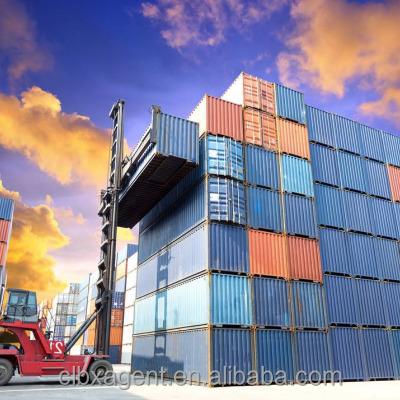 China Sea Freight FBA AMZ China To Japan FCL LCL All Type Goods Shipping China Freight Forwarder Cheapest Price Door To Door Door To Door Freight Forwarder for sale