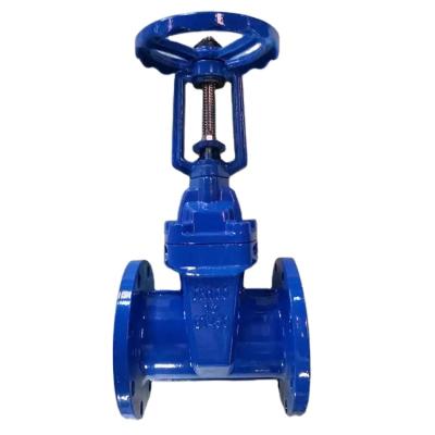 China General F4/F5 DIN Seat Resilient Non Rising Steel Stem SS Y Gate Valve for sale