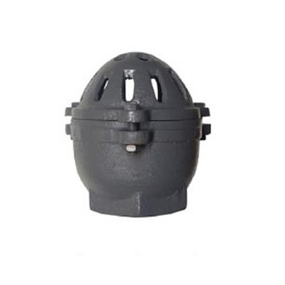 China Gray Iron American Standard Threaded Bottom Inlet General Special Hot Sale Valve for sale