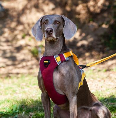 Chine Grande laisse réfléchie réglable de harnais de chien d'Oxford réglée avec le contrôle facile à vendre