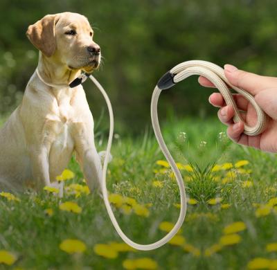 China Bergsteigen-Nylonseil-Hundeführung für die Ausbildung von mittelgroßen Hunden zu verkaufen