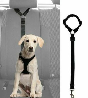 China Adjustable Dog Seat Belt Collars Harness Restraint With Elastic Bungee Buffer for sale