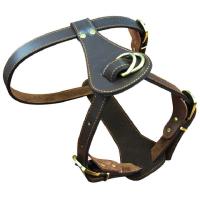 China Leather Pet Harness Leash For Medium Dogs Pit Bull Boxer Mastiff for sale