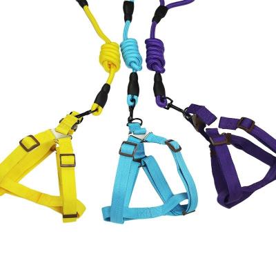 China Pet Explosion Proof Leash Reflective Dog Nylon Leash Medium And Large Dogs en venta