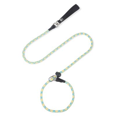 China Pet Nylon Adjustable Leash Explosion-Proof Dog Reflective Integrated Dog Leash for sale