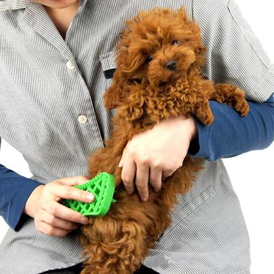 中国 止痒性犬の毛ペット マッサージ ペット クリーニング ブラシの防臭剤 販売のため