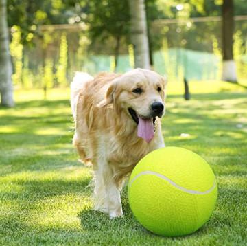 China 9.5 Inch Rubber Dog Tennis Ball With Inflating Needles for sale