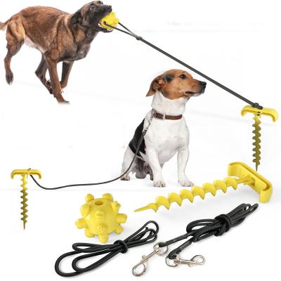 China Eco Friendly Elastic Plastic Ground Stake Dog Leash for sale