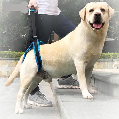 China Nylon van de de Steunriem van het Huisdierenbeen van de het Beenonbekwaamheid Achter van de de Verwondings Hoge Oude Hond de Tredehelper Te koop