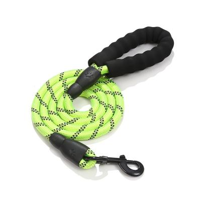 China Outside Nylon Long Dog Leash For Yard Designer Dog Lead for sale