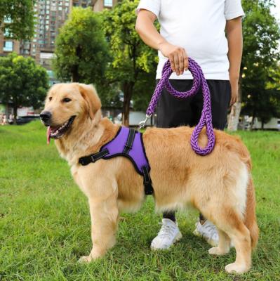 China Wasserdichte einziehbare Hundehochleistungsführung für großes Hundenylon zu verkaufen