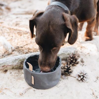 Cina L'alimentatore incerato pieghevole dell'animale domestico della tela lancia piatto portatile all'aperto del cibo per cani di viaggio in vendita