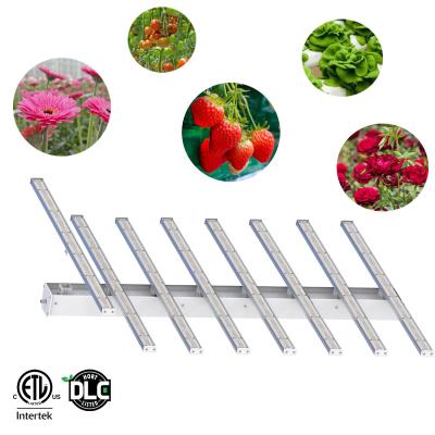 China Seed Starting US Fast Shipping 3000K 6000K Dimmable 2.8umol/J Full Spectrum LED Raise Lights 480W LM301H Bar for sale