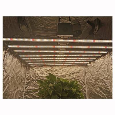 China Seed Starting GrowlightPlus 800 Watt Led Grow Light 680w 630w Led Grow Light for sale