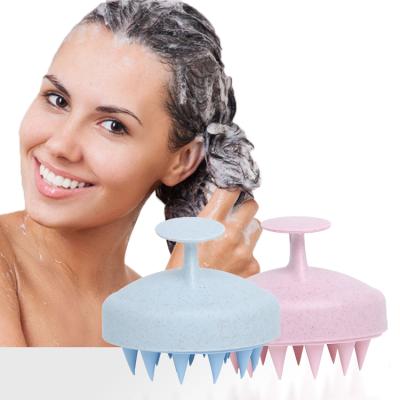 China Color Comfortable ABS Shaft Amazon Pet Shampoo Soft Massage Sweep Hair Shower Head Bath Combo Brush Set for sale