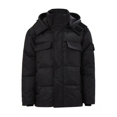 China Fashion Waterproof Jacket Hoody Padded Plus Size Padded Jacket Insulated Outwear for sale