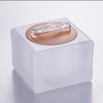 China BEAUTY PACKING 50G Acrylic Frosted Acrylic Jar For Skin Care for sale