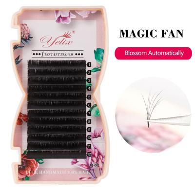 China Yelix 0.07 D Long Natural Wholesale Private Label Curl Volume Auto Flowering Flower Fast Easy Fan Eyelash Extension for sale