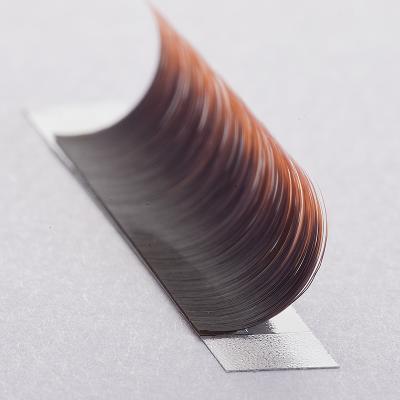 China Yelix 0.07mm Mix Length Natural Popular China Ombre Extension Two Tone False Eyelashes Ombre Lash Color Long Lashes for sale