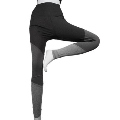 China Breathable New Arrive Fashion Hot Sale Fitness Yoga Female Pants Full Running Pants Girls Sports Formfitting Pants for sale