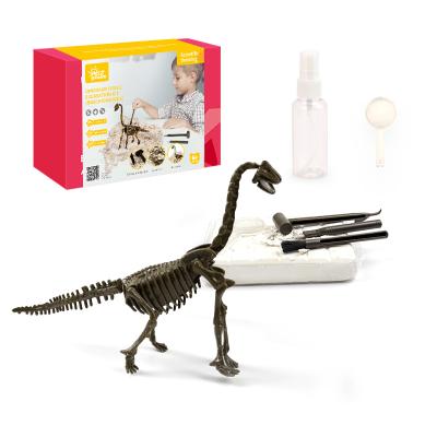 China Kidewan Kit Children's Dinosaur Toys Dig Dinosaurs Kit Simulation Dinosaurios Figure Party Diy Dino Fosil Skeleton Toys Dinosaur Toys Science Set for sale